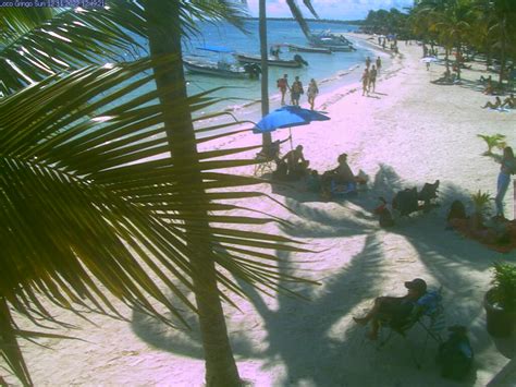 akumal bay webcam|LIVE NOW: Akumal Bay